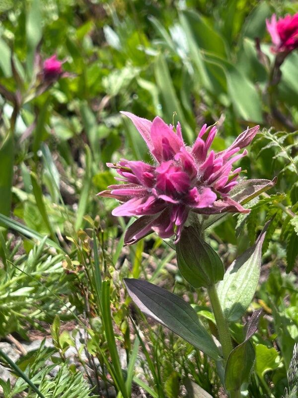 20250624_030606490_iOS