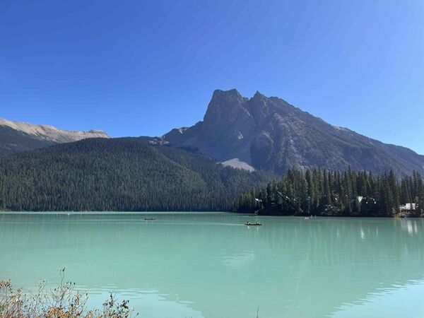 20250923_232123082_iOS