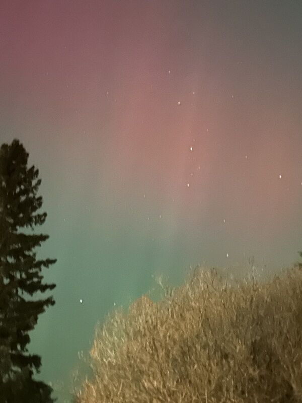 20251112_014004248_iOS