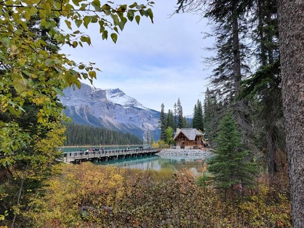 20241007_191646000_iOS