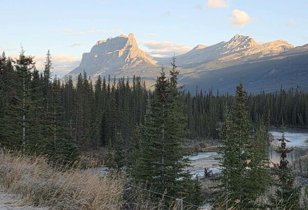 20251004_011839766_iOS