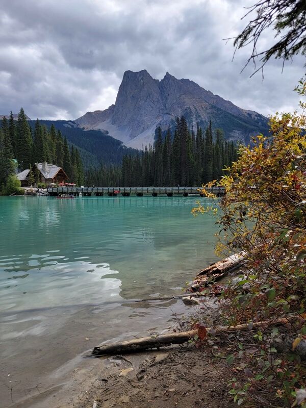 20240918_185921000_iOS