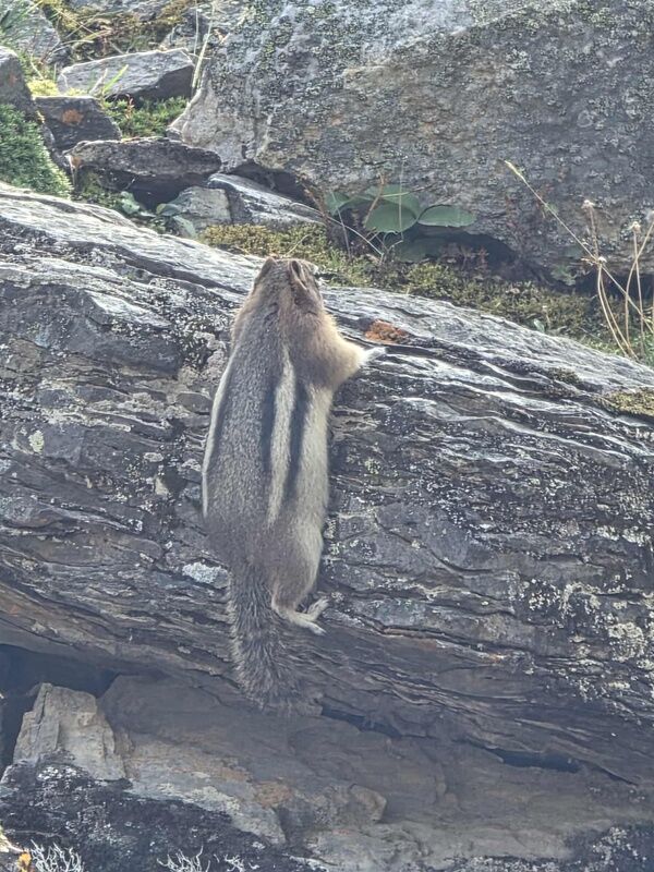 20250913_001346915_iOS