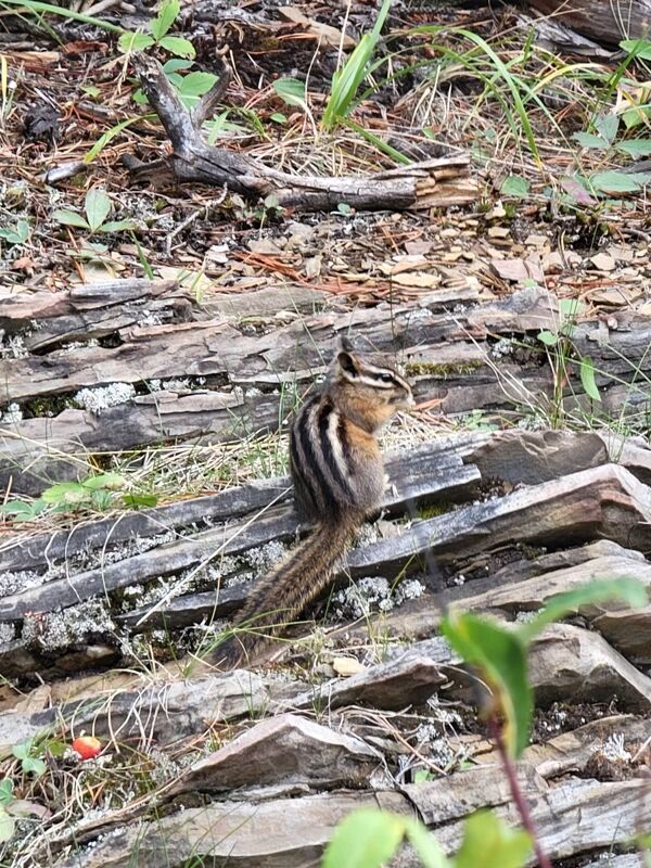 20240918_205311000_iOS