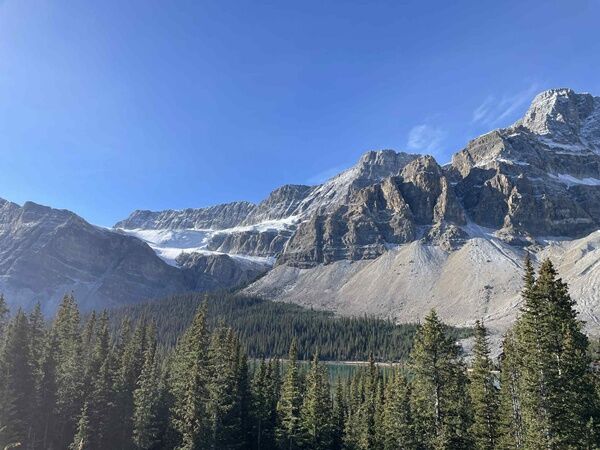 20251006_012509477_iOS