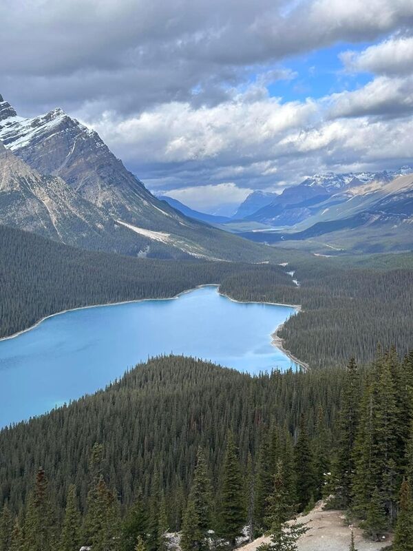 20241016_113643300_iOS