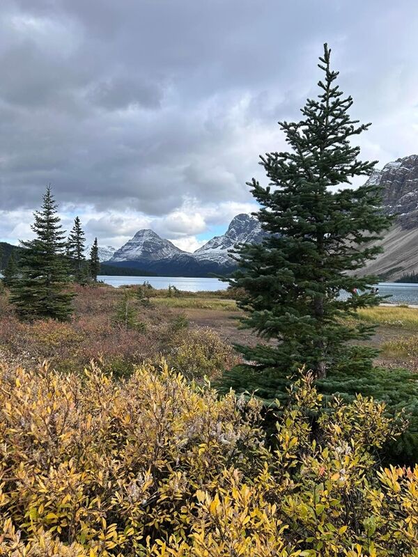 20240921_024121944_iOS