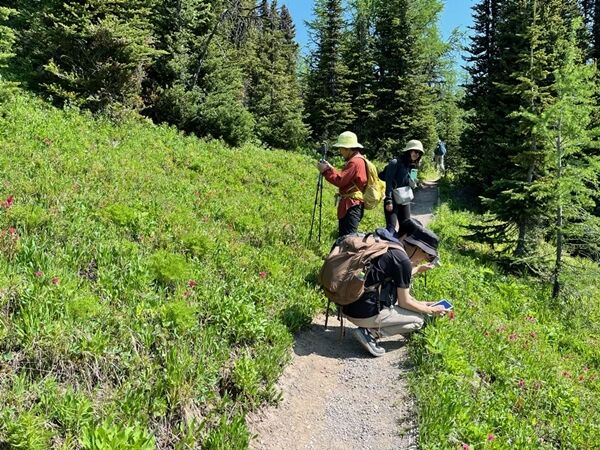 20240709_173152602_iOS