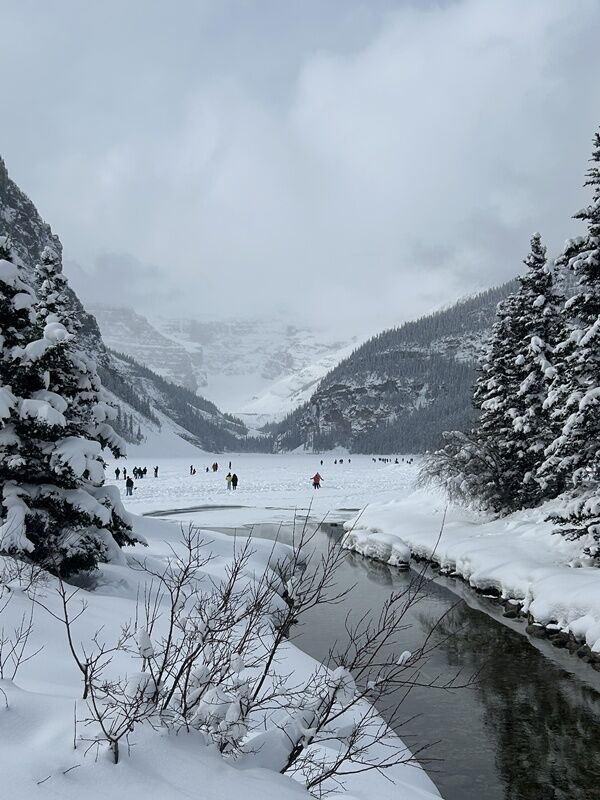 20250316_182946167_iOS