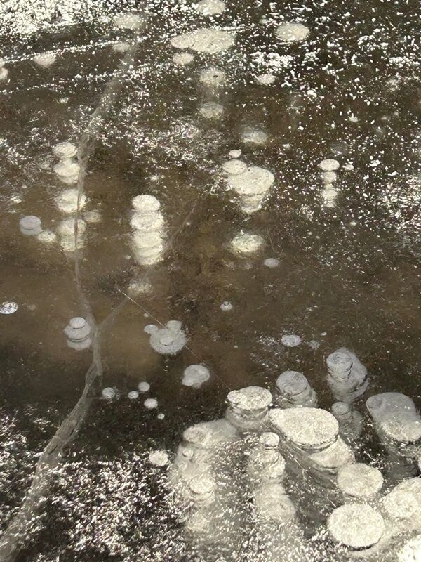 20250108_010052596_iOS