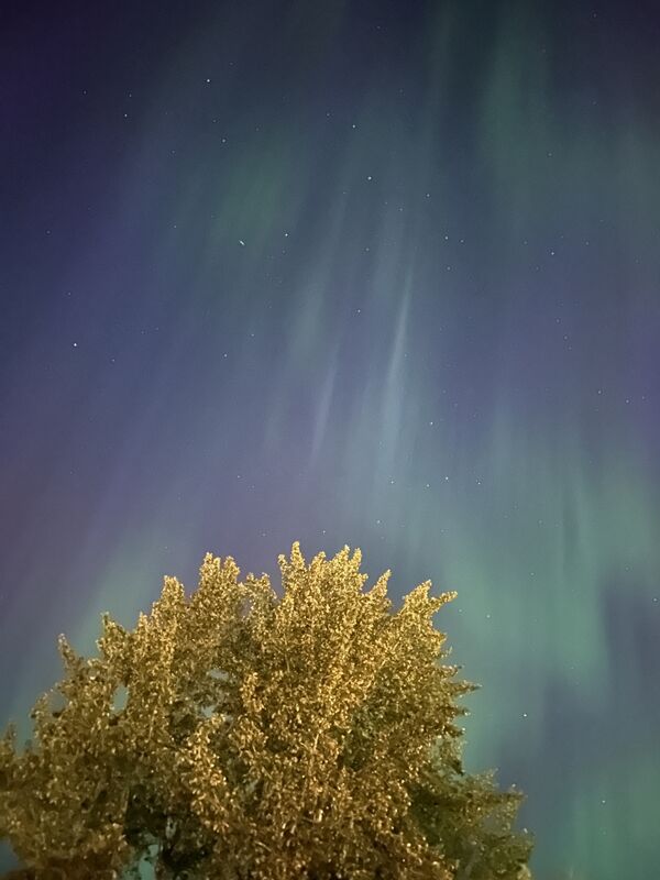 20240917_032857595_iOS