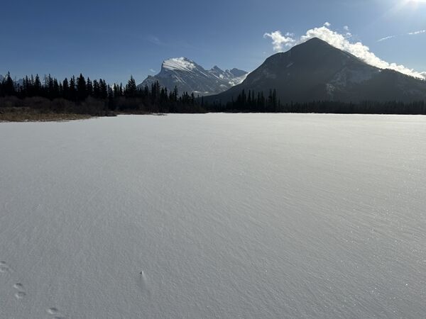 20240209_174018572_iOS