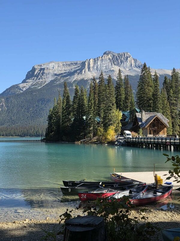 20251009_231829295_iOS