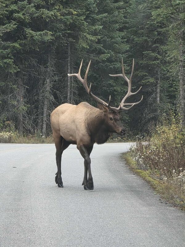 20251006_221044931_iOS