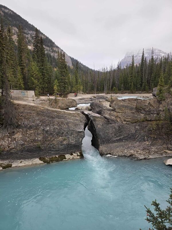 20251006_221052436_iOS