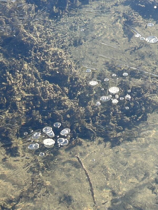 20251120_191318844_iOS