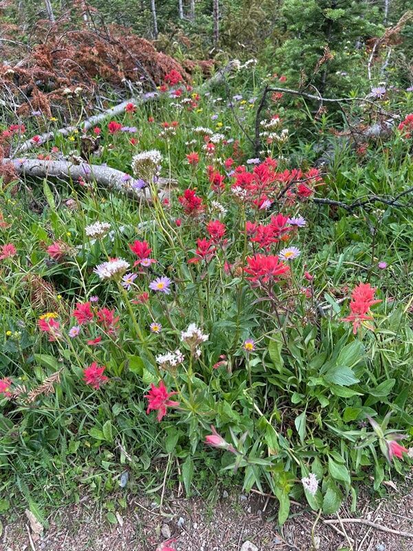 20250725_225038479_iOS