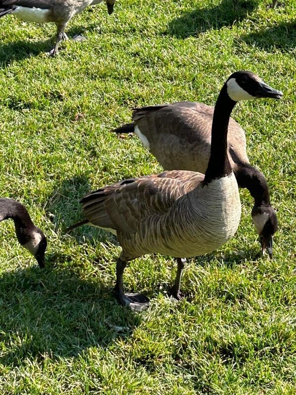 20230823_172548204_iOS