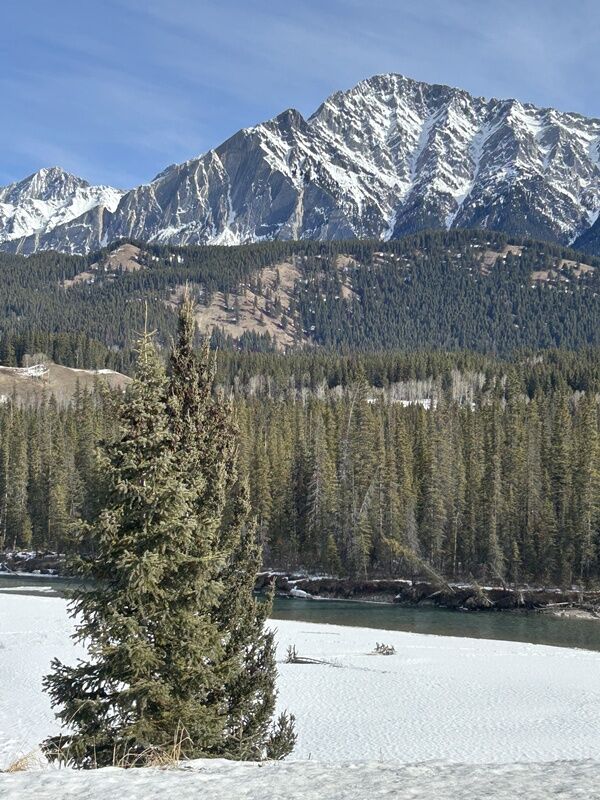 20250302_175821687_iOS