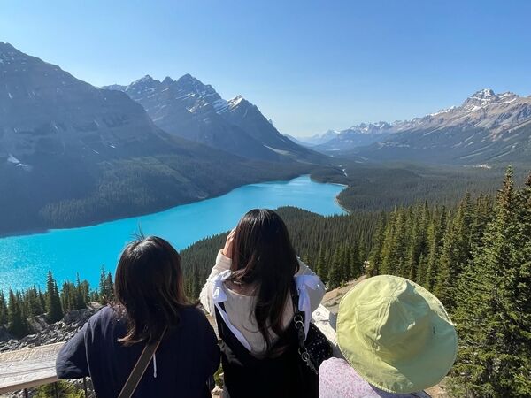 20240708_235006086_iOS