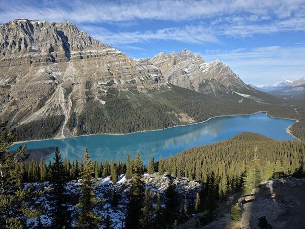 20251015_235940784_iOS