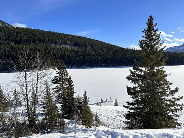 20251223_004213010_iOS