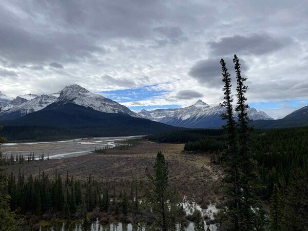 20251007_005814171_iOS