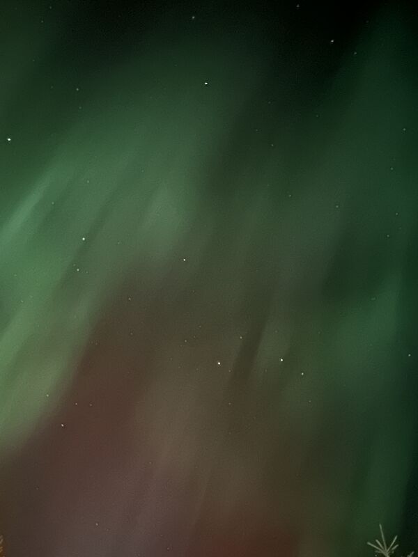 20241008_052226707_iOS