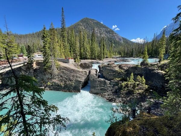 20240621_165646468_iOS