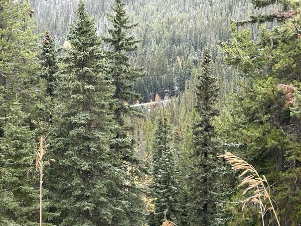 20251012_232806305_iOS