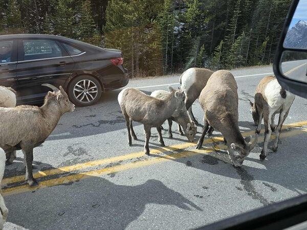 20251015_235942477_iOS