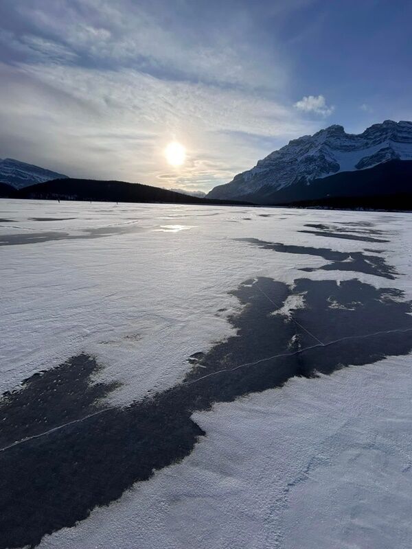 20250118_022642154_iOS