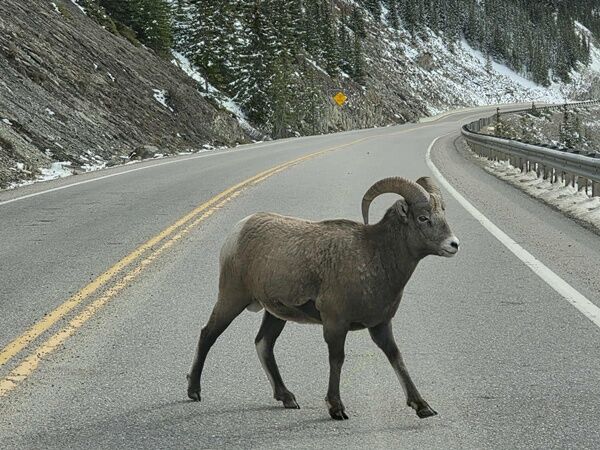 20251015_235946371_iOS