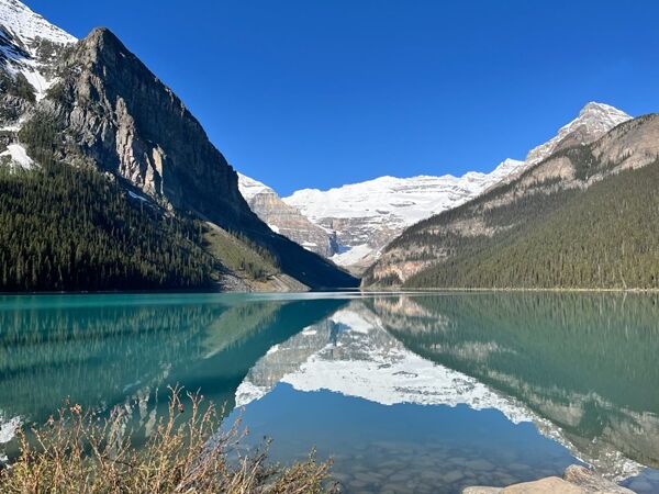 20240621_141141255_iOS