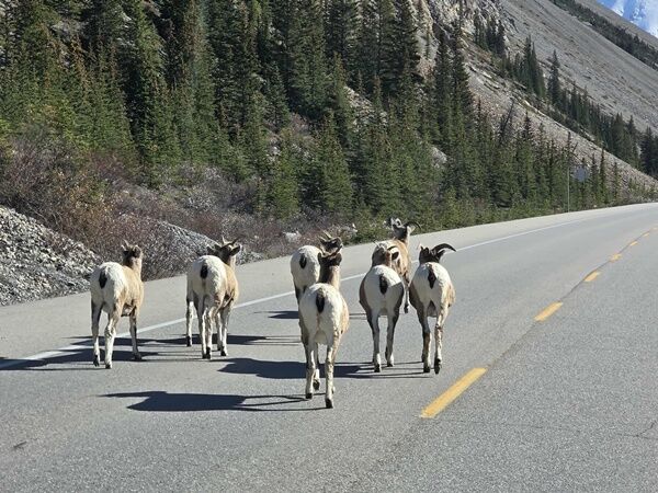 20251010_233830378_iOS