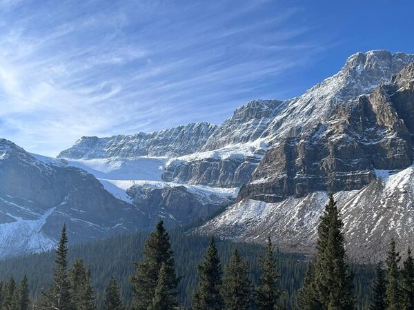 20241015_021334903_iOS