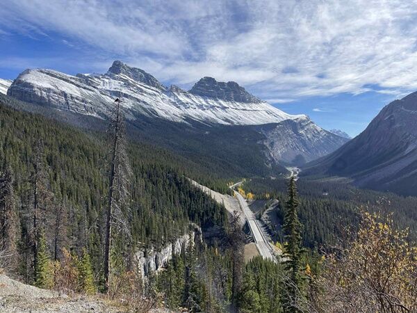 20251006_012509369_iOS