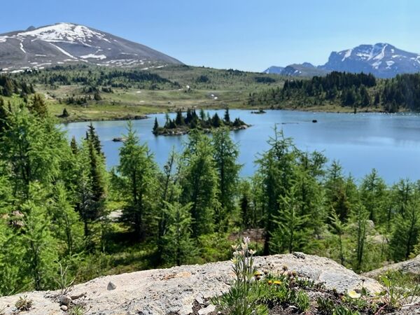 20240709_170712272_iOS