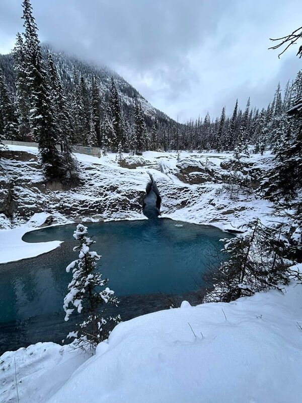 20241204_062130098_iOS