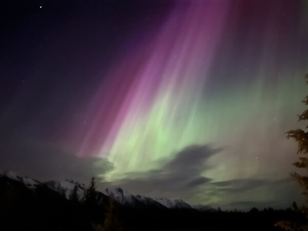 20240511_064558786_iOS