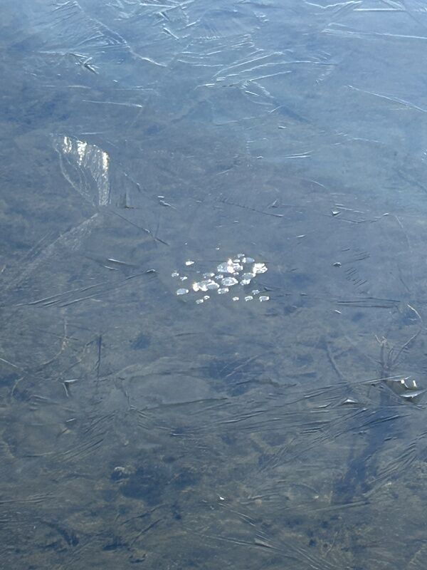 20260209_181502611_iOS