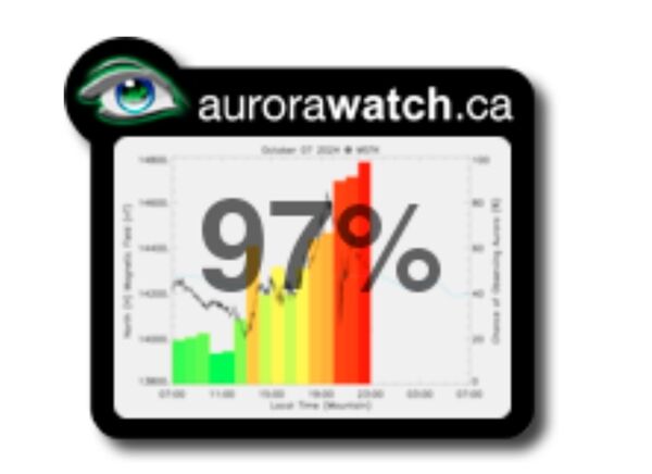 20241008_052651000_iOS