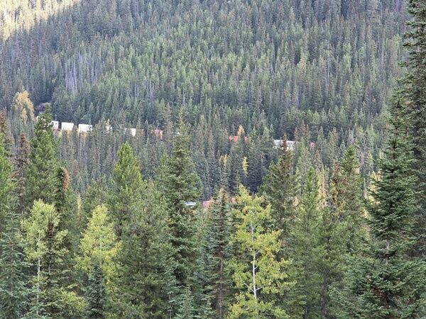 20250928_230901998_iOS