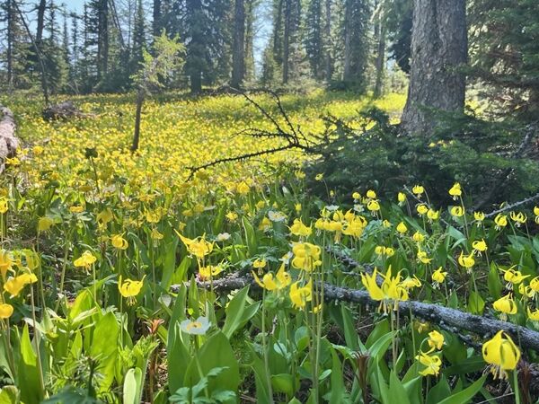 20240709_183300070_iOS