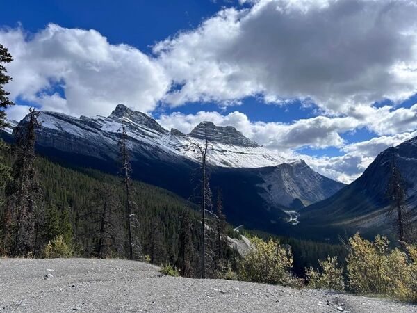 20240921_024111316_iOS