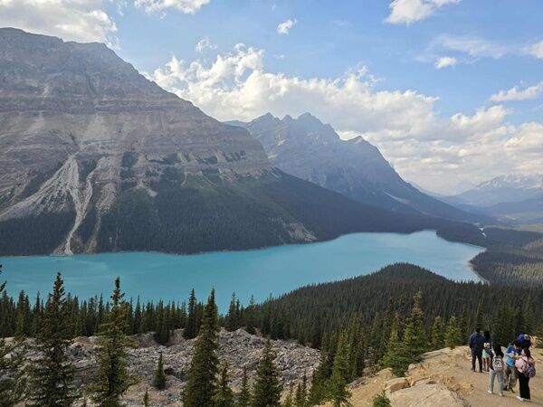 20250925_005006345_iOS