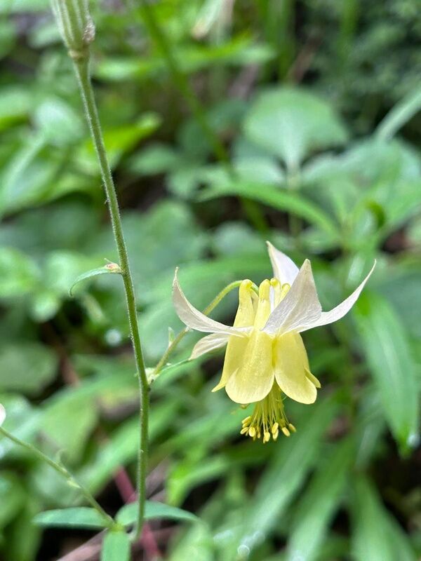 20250804_234228583_iOS