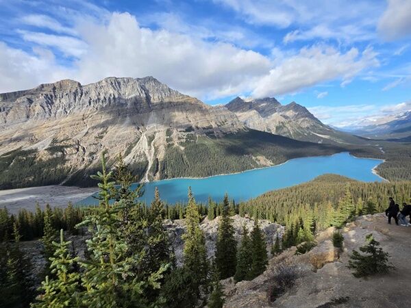 20251007_205904207_iOS