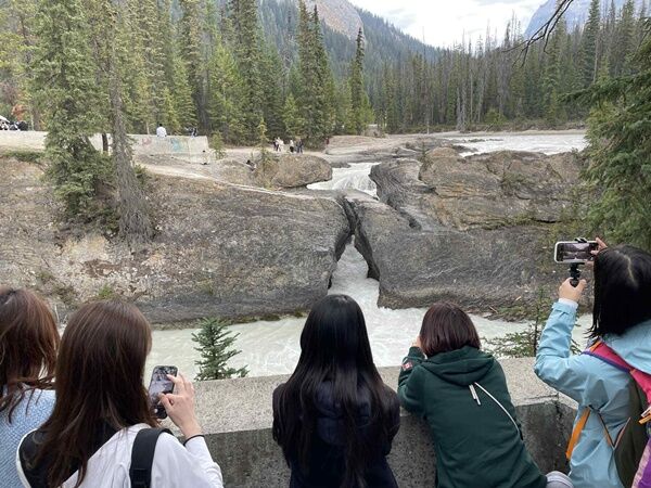 20250921_231331459_iOS