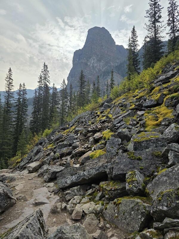 20250915_000133236_iOS